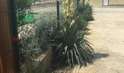 Гостиница Ольга, Малый Утриш