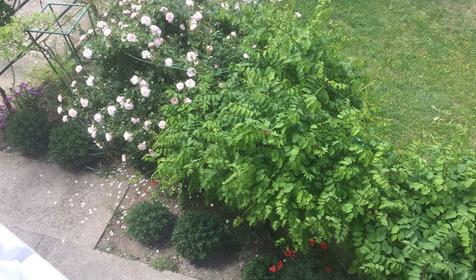 Гостиница Ольга, Малый Утриш