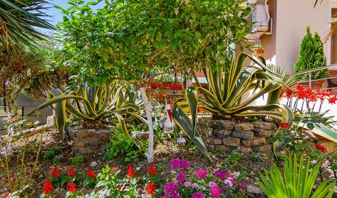 Гостиница Прибой, г. Сочи, Лазаревский район, п. Лоо