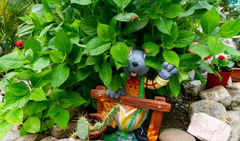 Гостевой дом Алеандр, г. Сочи, Лазаревский район, п. Лоо