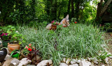 Гостевой дом Алеандр, г. Сочи, Лазаревский район, п. Лоо