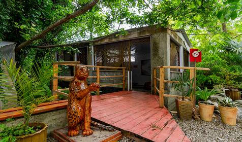 Гостевой дом Алеандр, г. Сочи, Лазаревский район, п. Лоо