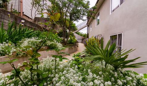 остевой дом Волгарь, Сочи, Лоо