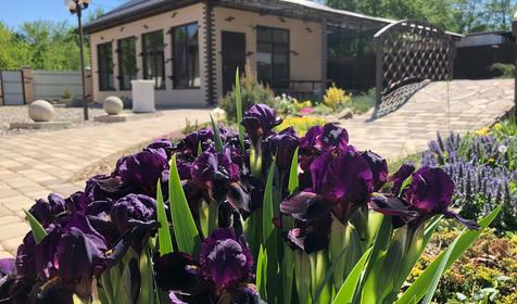 Горное Поместье