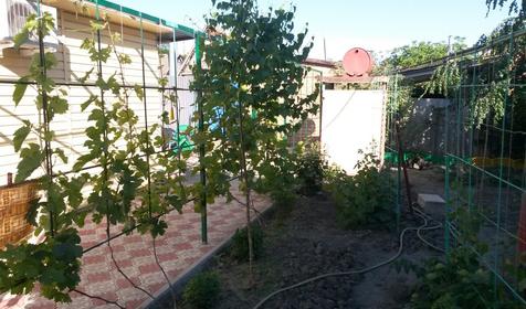 Четырехместный