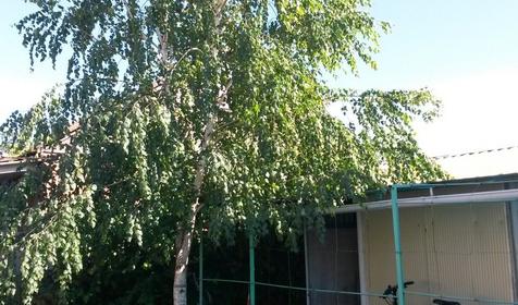 Четырехместный