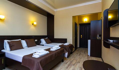 Трехместный. Гостевой дом Ной, Анапа, Витязево