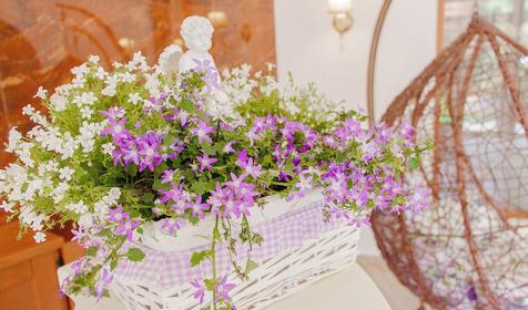 Пансионат Морские Рифы, Анапа