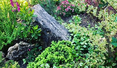 Пансионат Морские Рифы, Анапа