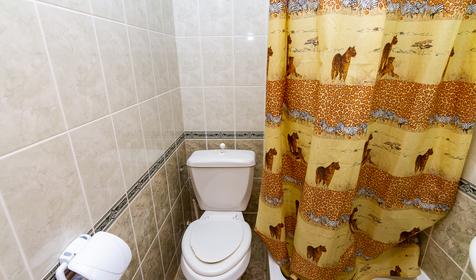 Стандарт-мини. Гостевой дом Феникс, Анапа, Витязево