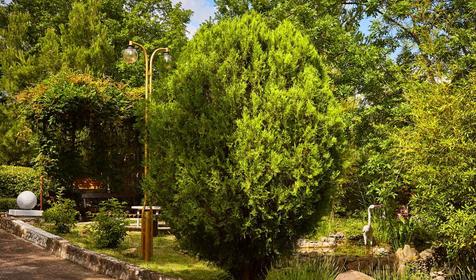 Пансионат Маяк, Туапсе, Шепси