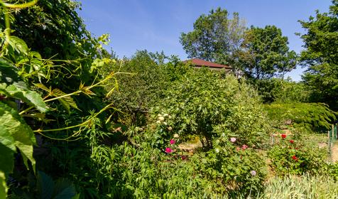 Гостевой дом Прохладный, Туапсе, Джубга