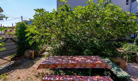 Гостевой дом Прохладный, Туапсе, Джубга