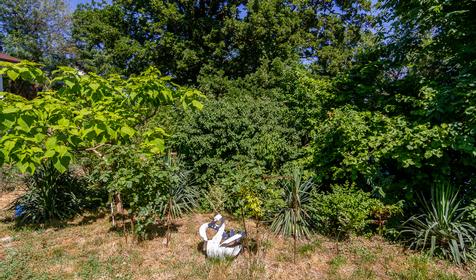 Гостевой дом Прохладный, Туапсе, Джубга