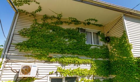 Гостевой дом Прохладный, Туапсе, Джубга