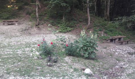 Гостевой дом Жемчужина, Туапсе, Лермонтово