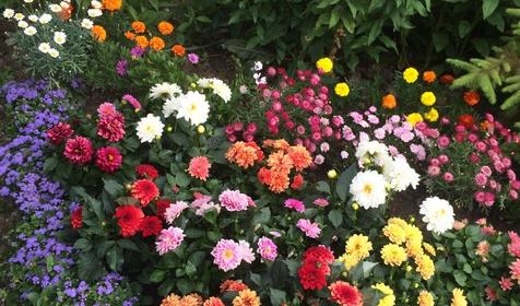 Мини-гостиница Арина, г. Сочи, Адлерский район, г. Адлер