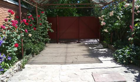 Золотая рыбка