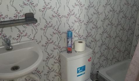 Золотая рыбка