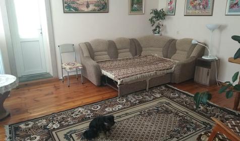 Золотая рыбка