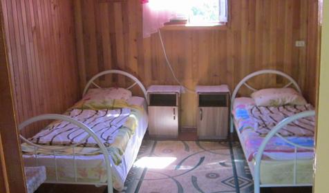 Золотая рыбка