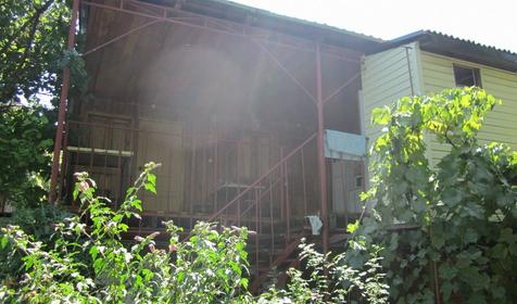 Золотая рыбка