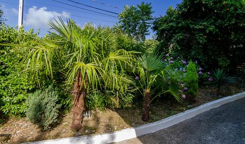 Гостевой дом Акварель, г. Сочи, Лазаревский район, п. Головинка