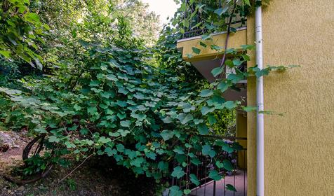 Гостевой дом Акварель, г. Сочи, Лазаревский район, п. Головинка