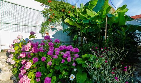 Гостевой дом Ирина, Туапсинский р-н, Небуг