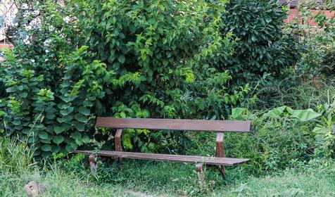 Гостевой дом Арина, Туапсе, Джубга