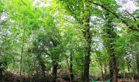 кемпинг "Ёжик"