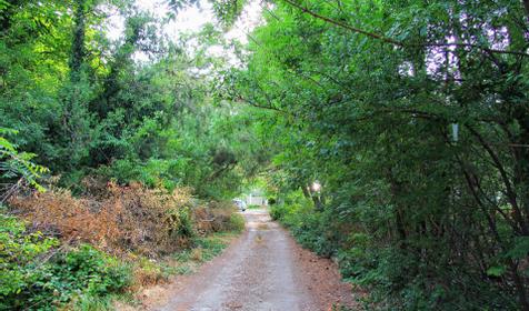 кемпинг "Ёжик"