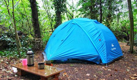 кемпинг "Ёжик"