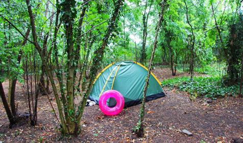 кемпинг "Ёжик"