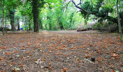 кемпинг "Ёжик"