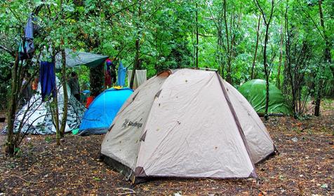 кемпинг "Ёжик"