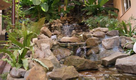 Гостиница Арго, Сочи, Лазаревское