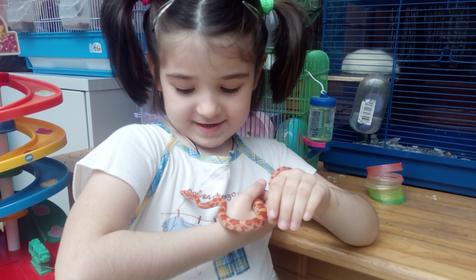 Гостиница Арго, Сочи, Лазаревское