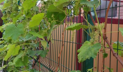 Коттедж У Леонида, Ейск