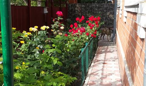 Коттедж У Леонида, Ейск