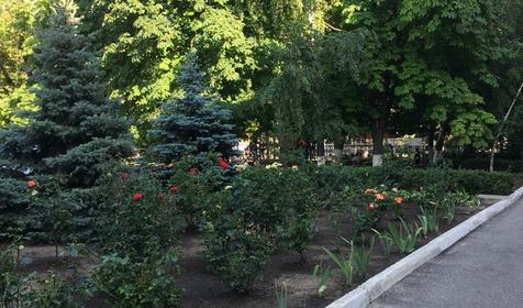 Трехкомнатная квартира у Лимана