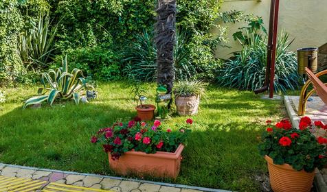 Пансионат ПримаВера, г. Сочи