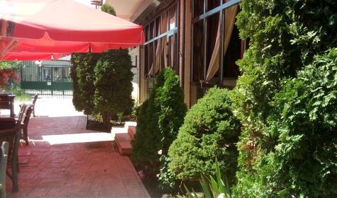 Фаворит на Паралии