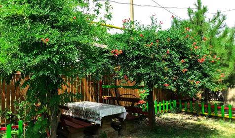 На Калинина