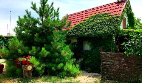 На Калинина