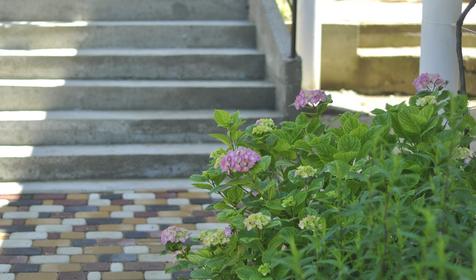 Гостевой дом Аист, Туапсе, Джубга