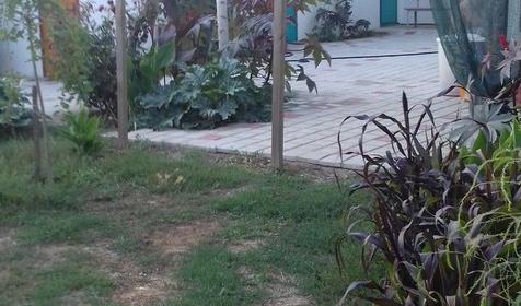 Гостевой дом Дарья, г. Анапа, ст. Благовещенская