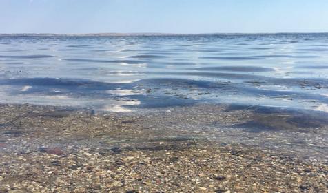 На Таманском Заливе