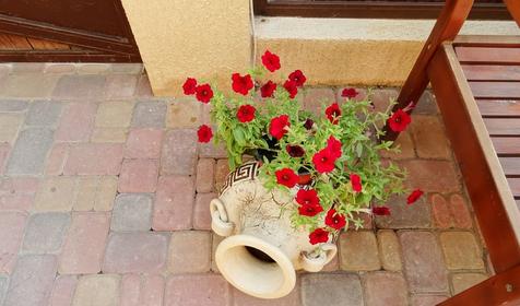 Гостевой дом Абрикос, Геленджик, Кабардинка