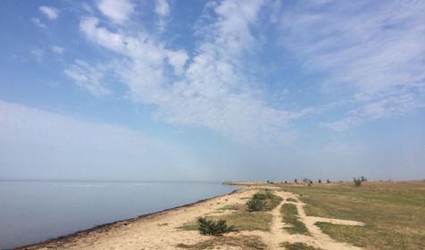 Волна Революции